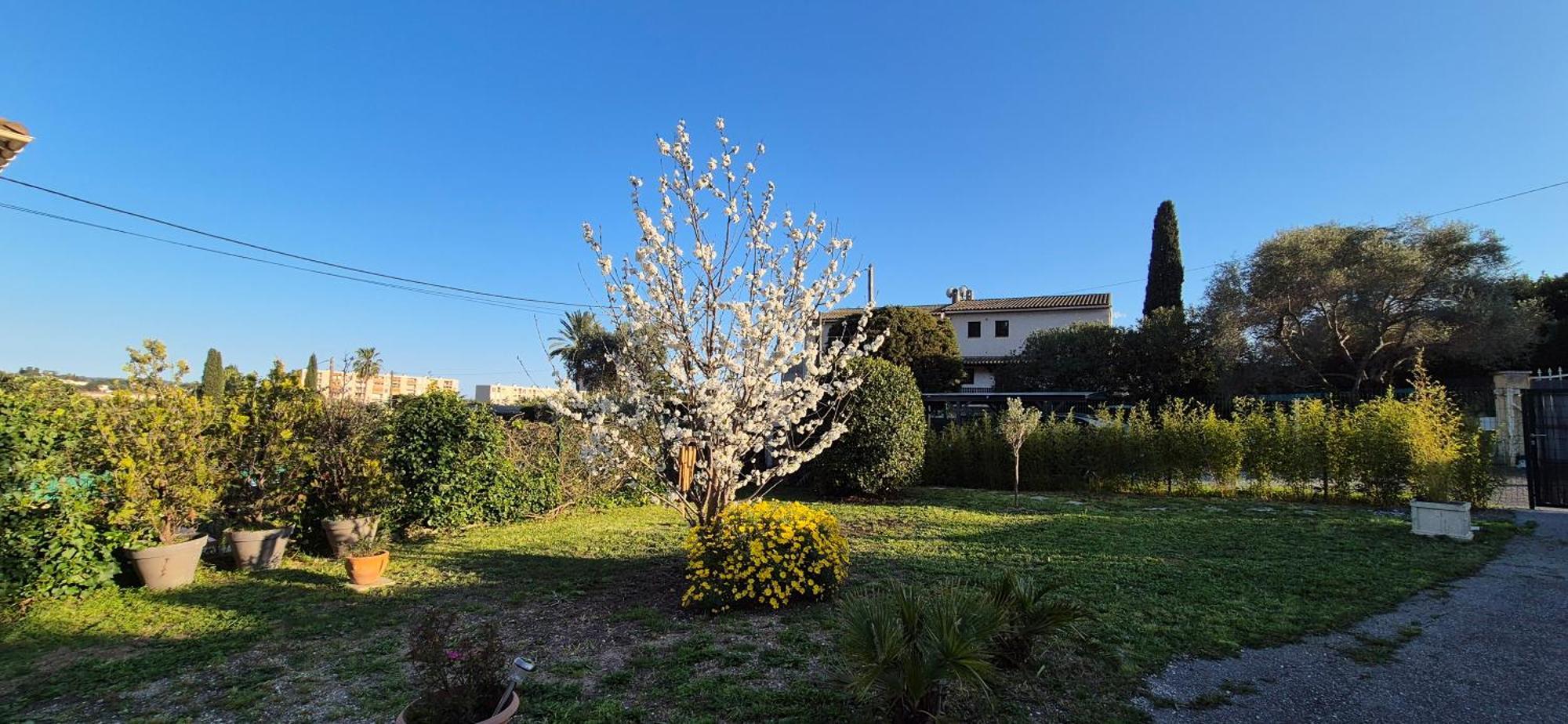 Studio Independant Avec Terrasse A Juan Les Pins Antibes Exterior foto